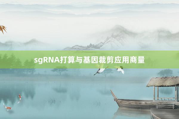 sgRNA打算与基因裁剪应用商量